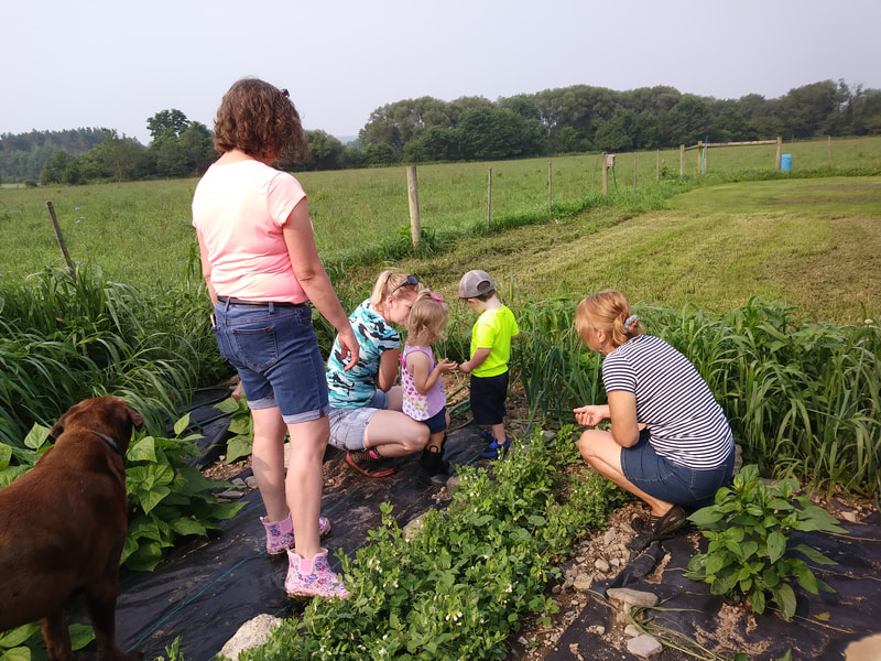 2021 Farm Week VanOrd Farm Visit- people in garden