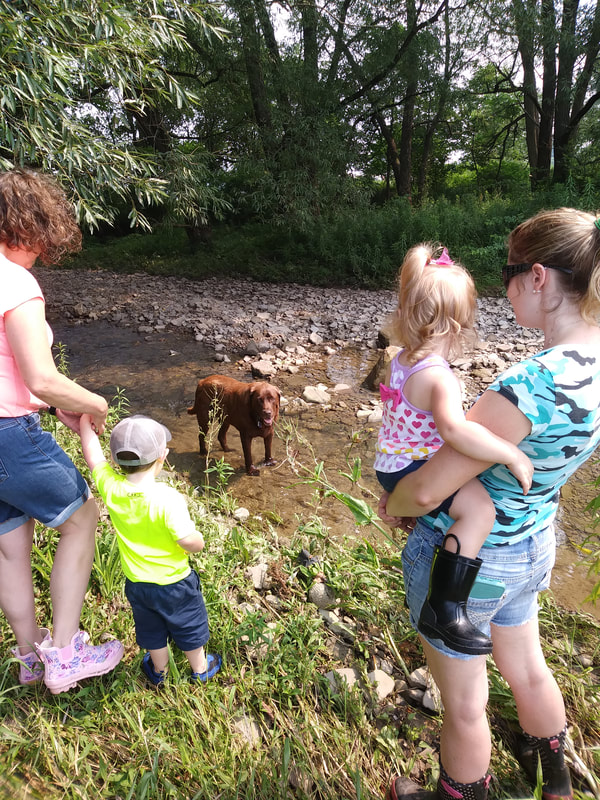 2021 Farm Week VanOrd Farm Visit creek walk with dog